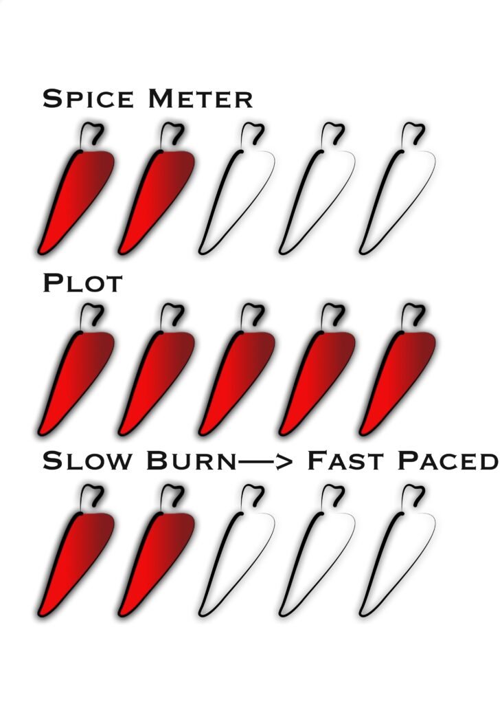 Spice Meter Book Rating Review