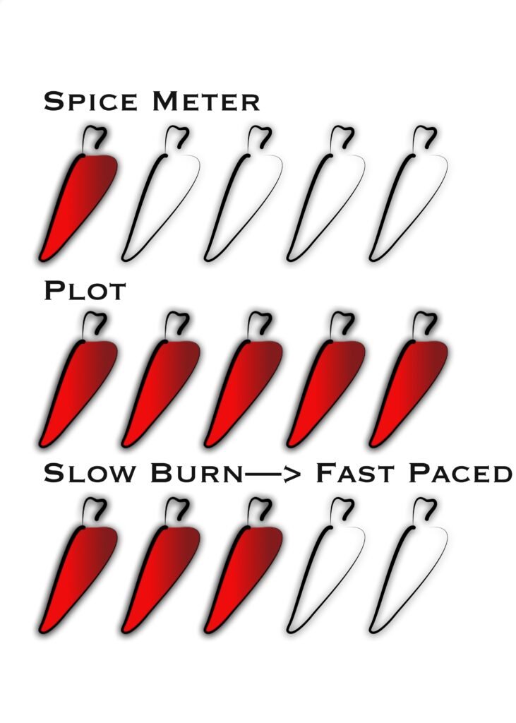 Book Spice Meter Plot Slow Burn Fast Paced