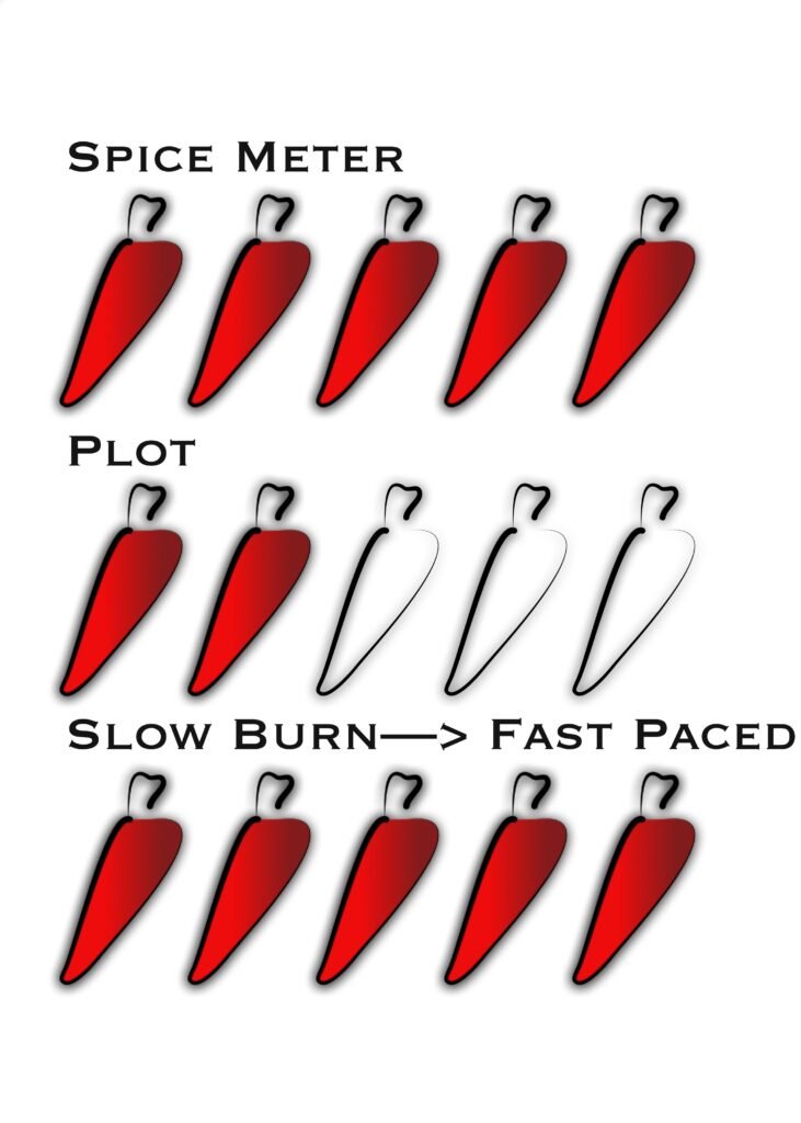 Book Spice Meter Plot Slow Burn Fast Paced Rating Review