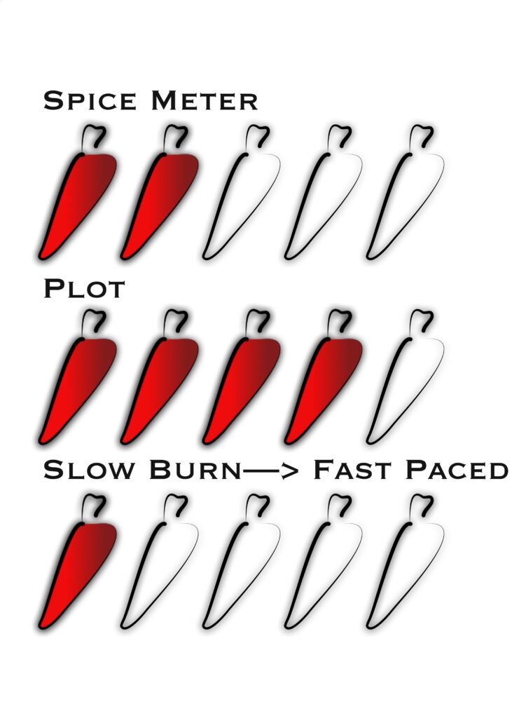 Book Spice Meter Plot Slow Burn Fast Paced