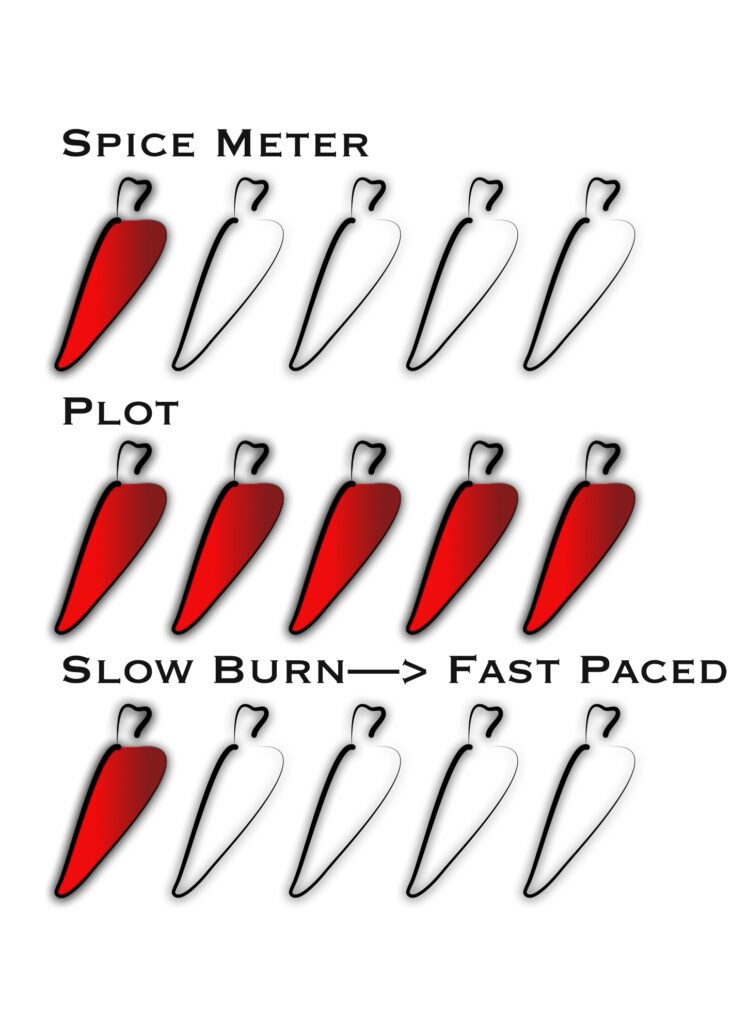 Spice Meter Book Plot Rating Romance Book Review